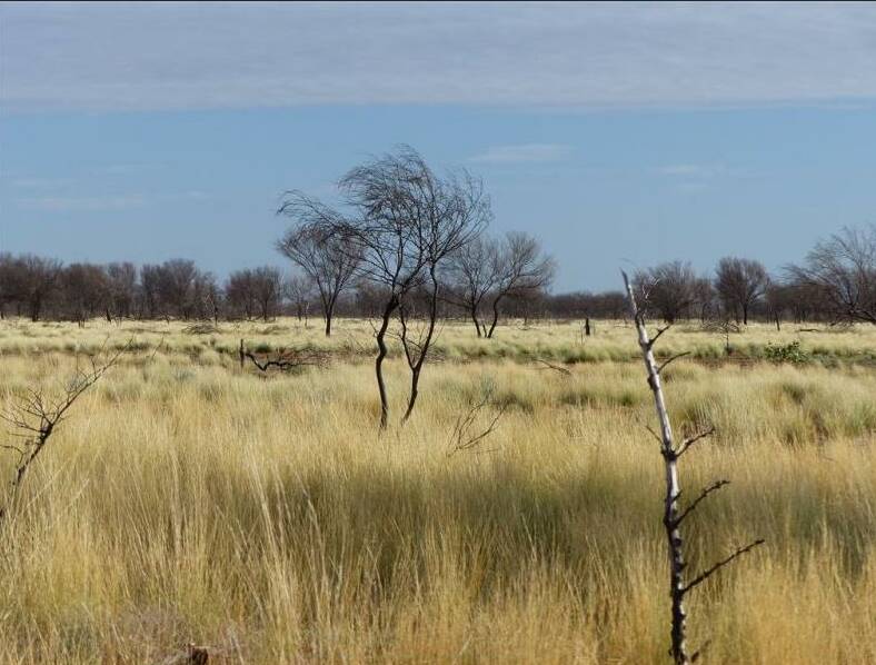 Land valuations in the Bulloo shire have increased 127.5pc for rural landholders.