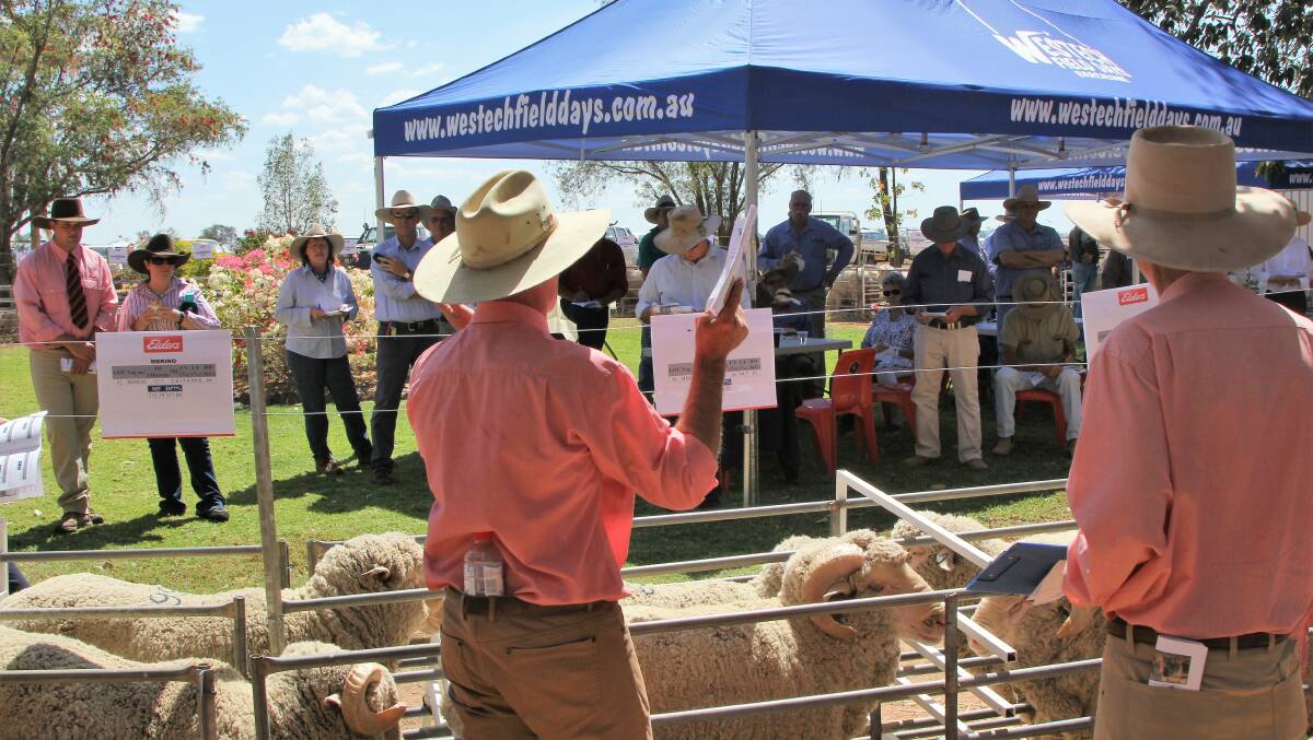 Bidding up: Elders conducted the ram sale in the Barcaldine Downs homestead garden setting. Picture: Sally Cripps.