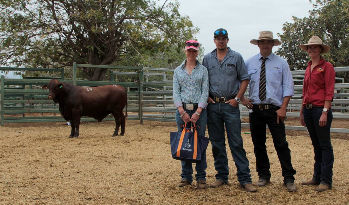 Dominique and Iain Adams, Darracourt, Blackall purchasers of the top priced bull at the Swan Hill sale, with Jack Burgess, GDL and Alexa Russell, Swan Hill.