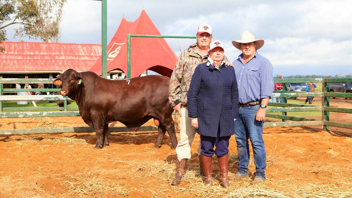 Rob and Lorraine Sinnamon, RL Pastoral Company, one half of the partnership that purchased the top-priced Yarrawonga S316 for $250,000, with Yarrawonga co-principal Andrew Bassingthwaighte. Pictures: Sally Gall