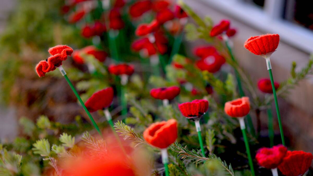 Some of the hand-crocheted poppies have been 'planted' outside the Winton Shire Council offices opposite the town's cenotaph. Pictures supplied.