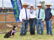 Jack displays his top-priced ribbon for the Central West working dog sale, with vendors John Pointon and Prue Howard, and sale organisers Beau Frame and Matt McLane, Frame Rural Agencies. Pictures: Sally Gall
