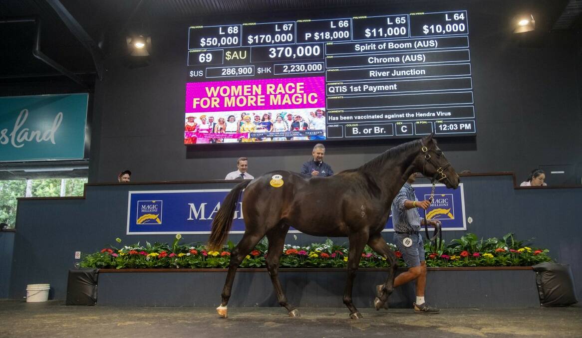 DEAR BOY: One of the higher priced lots at the March sale was the Spirit Of Boom-Chroma colt sold to Morrisey Racing for $370,000 from a draft presented by River Junction, Kybong.