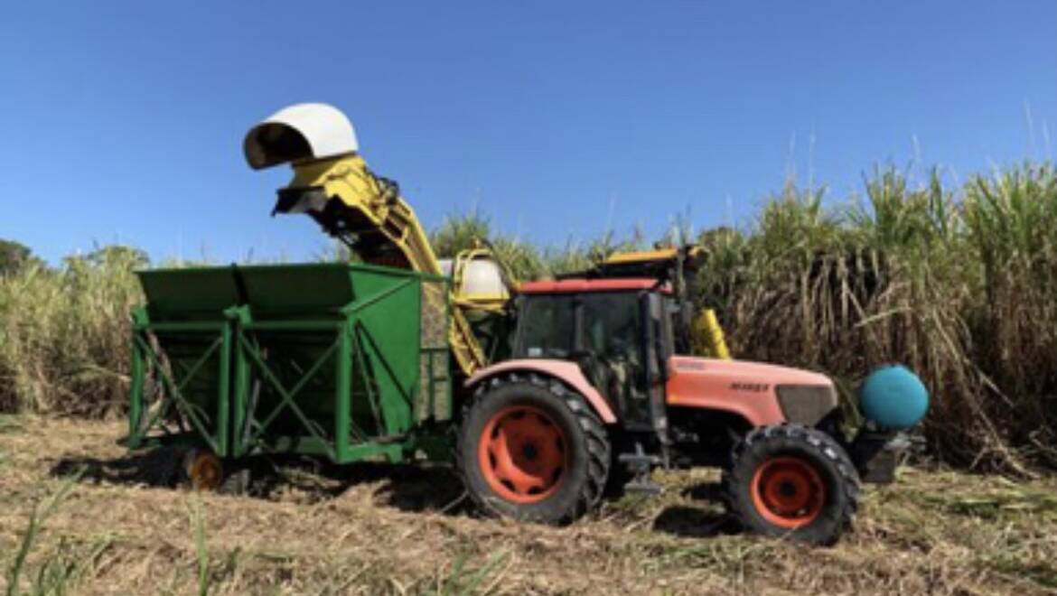 SUSTAINABLE BUINESS: The Giudice family were early adopters of the Smartcane BMP process on their Far North Queensland farms and are helping others follow suit.