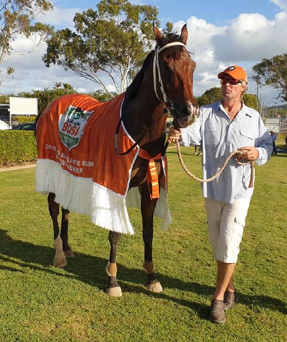 BUSH MARVEL: Fab's Cowboy will be chasing his 36th career win in Charleville on May 9.
