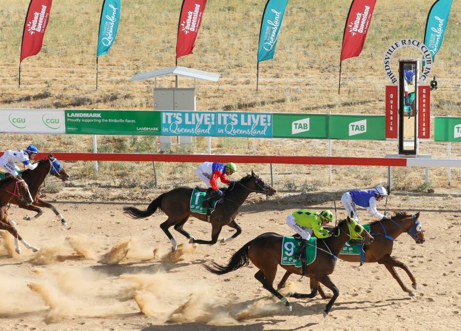 French Hussler finishes ahead of Eschiele, Java and Fab's Cowboy in the 2019 Birdsville Cup.