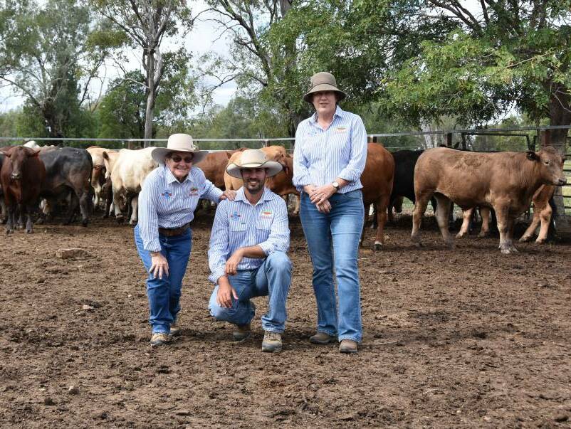 BEHIND THE SCENES: Girlie Goody, Beau Surawski and Donna Wales worked hard to ensure the success of this year's Callide Dawson Beef Carcase Competition.