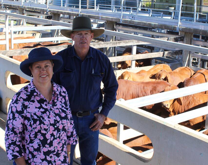 Kym and Rodney Hannant, Ashleigh, East End, sold Droughtmaster steers at CQLX Gracemere on July 19.