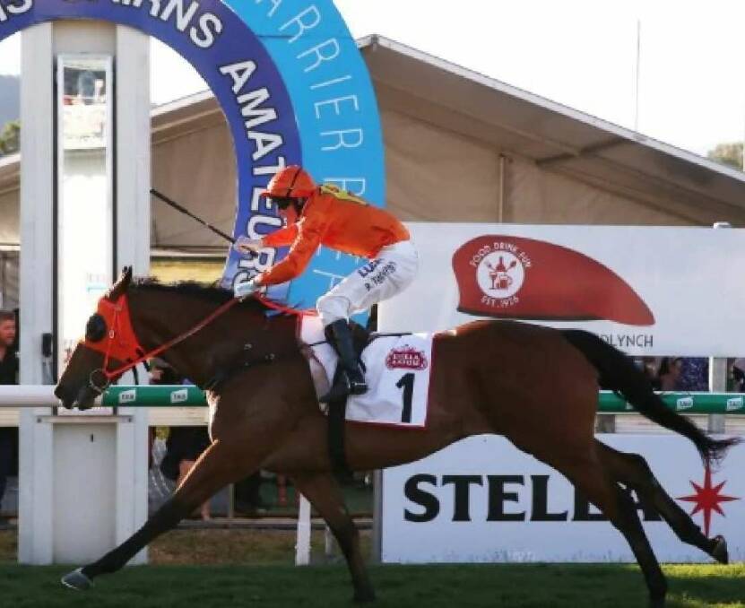 BIG WIN: The Harrovian made a successful return to racing in the Cairns Newmarket.