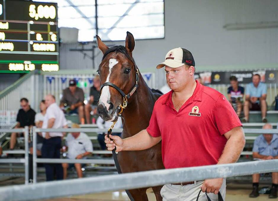 SOLID RESULTS: The Oaklands Stud draft sold well with eight lots fetching $156,000.