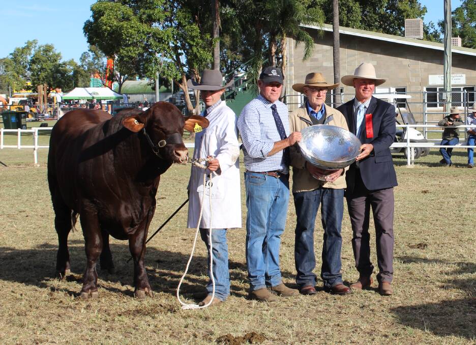 OUTSTANDING: Grand champion bull Yarrawonga P260 with his handler, sponsor Scott Ferguson, Alastair Bassingthwaighte and judge Neil Watson in Emerald.