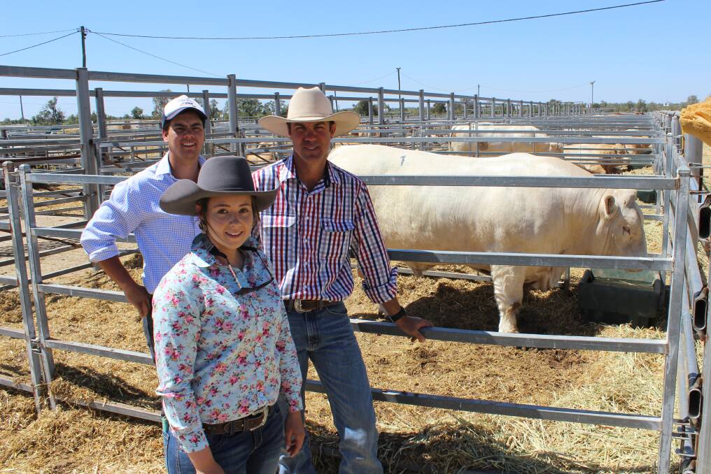 Blake and Amy Whitechurch, 4 Ways Charolais, Inverell, and buyer Alan Goodland, Clare Charolais, Theodore, with the $32,500 4 Ways Noble Khan (PS).