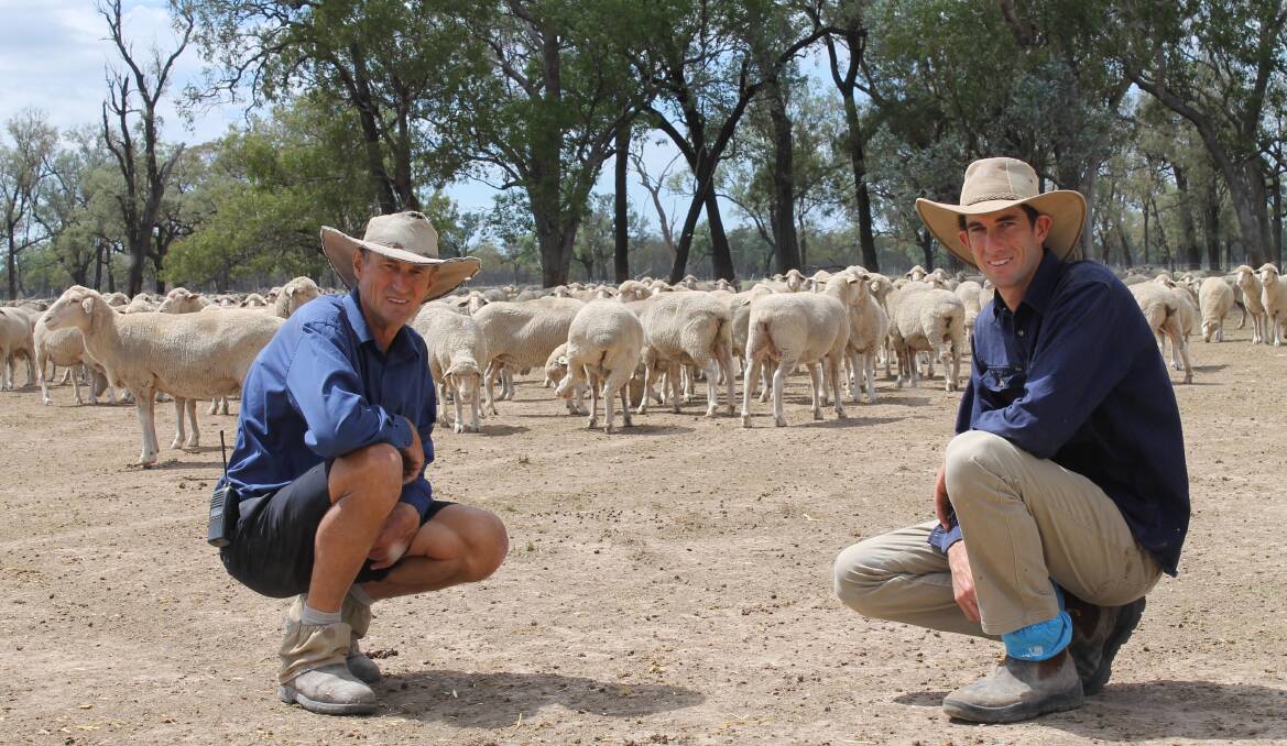SUCCESSION PLANNING: Trevor and Alan Rissmann, Rosedale, Yelarbon, represent third and fourth generation sheep producers and soon the latter will be joined by siblings Geoff and Brett to run the Riss Merinos wool and meat business.