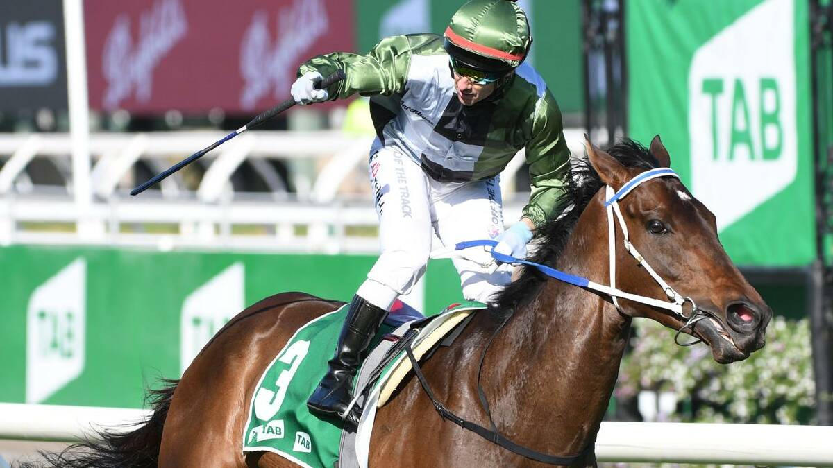 Incentivise rose from a maiden victory at the Sunshine Coast in April to win the Caulfield Cup and run second in the Melbourne Cup.