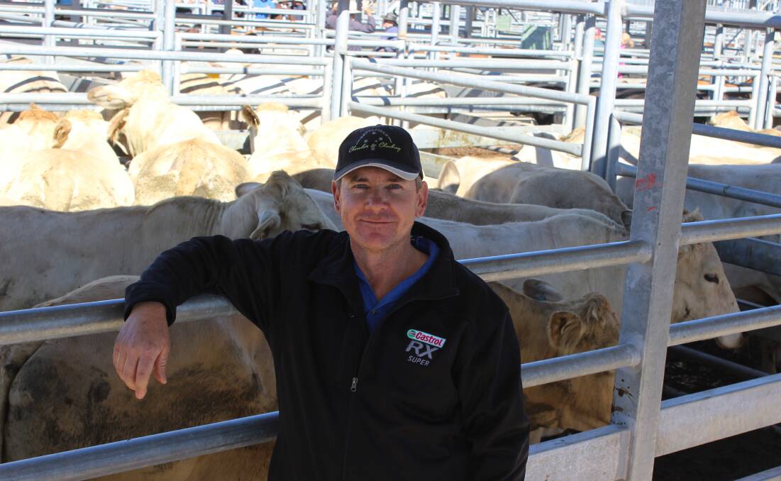 Stephen Kajewski, Bettafield, Gindie, sold cows at the Emerald sale yards to maintain good numbers on his property. 