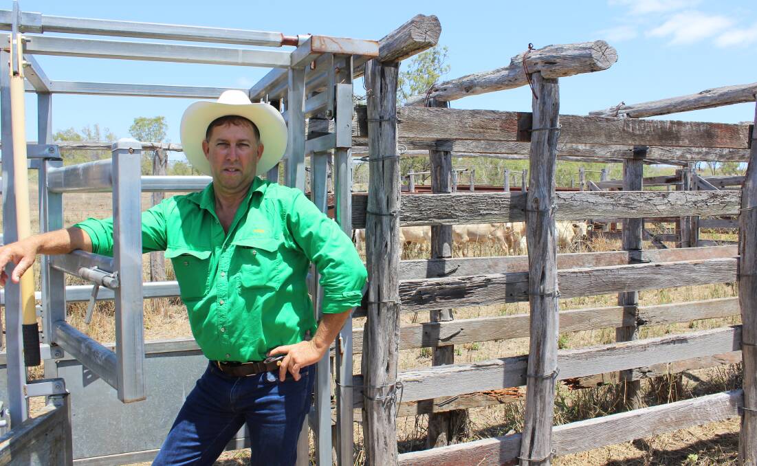 A positive Paul Tziouztias cannot understand why people are pessimistic about the beef industry. His daughter Alex holds the same opinion and is rapidly developing a keenness for the cattle business.