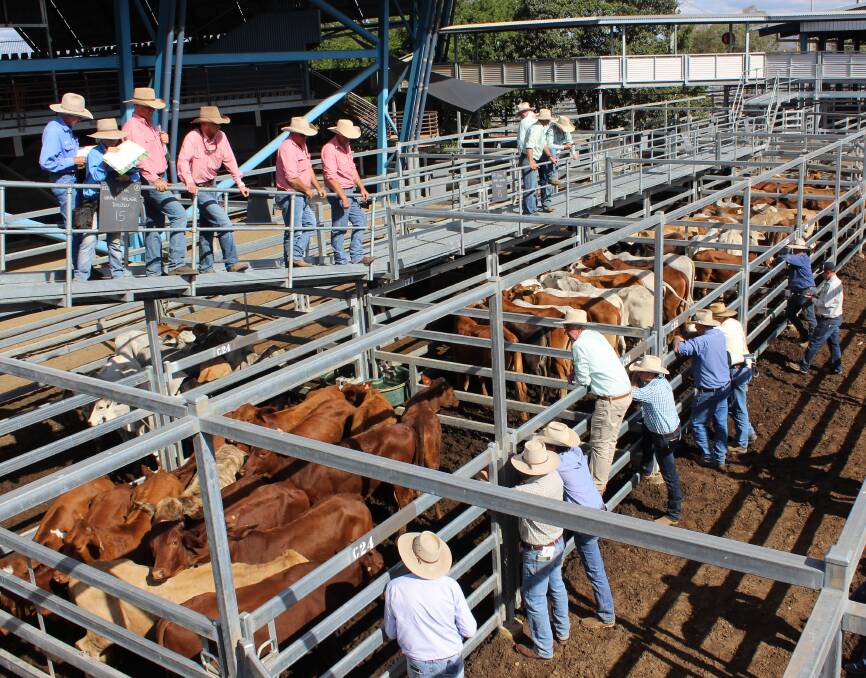There was plenty of buying action out at CQLX Gracemere on June 14.