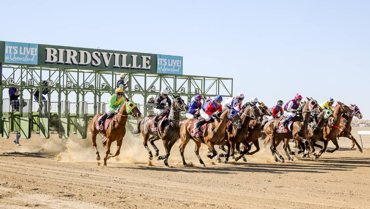 MONEY MONEY MONEY: The historic Birdsvlle races are in for some funding to pay for safety fencing.