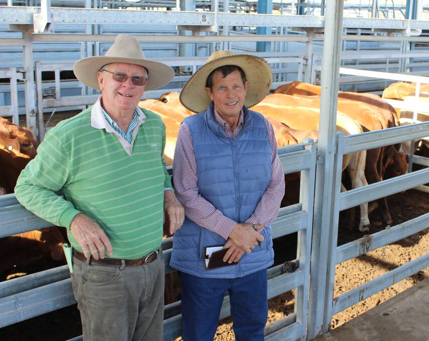 Agent Michalel Lynch, Landmark Rockhampton, and buyer David Conachan, Clydevale, Clermont, were happy with the outcome of the June 28 sale at CQLX Gracemere.