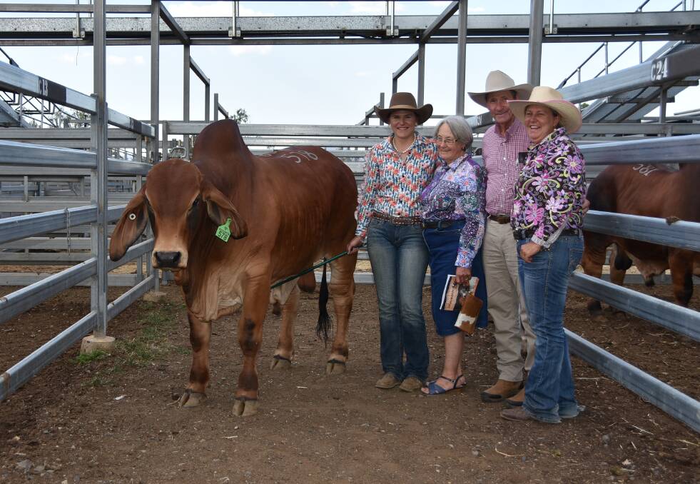 
Remy and Beth Streeter's Palmvale Navara (P) was the top price red Brahman on day two of the sale, selling to Glenda and Brian Kirkwood, Somerview Red Brahmans, Charters Towers, for $50,000.