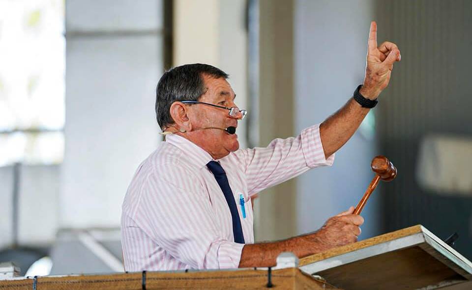 CALLING THE SHOTS: Esteemed auctioneer David Chester called the bids at the Capricornia yearling sale on April 11.