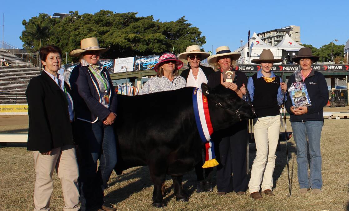 Lik Lik Notorious was named interbreed champion bull in the small breeds section at the Royal Queensland Show on Friday.