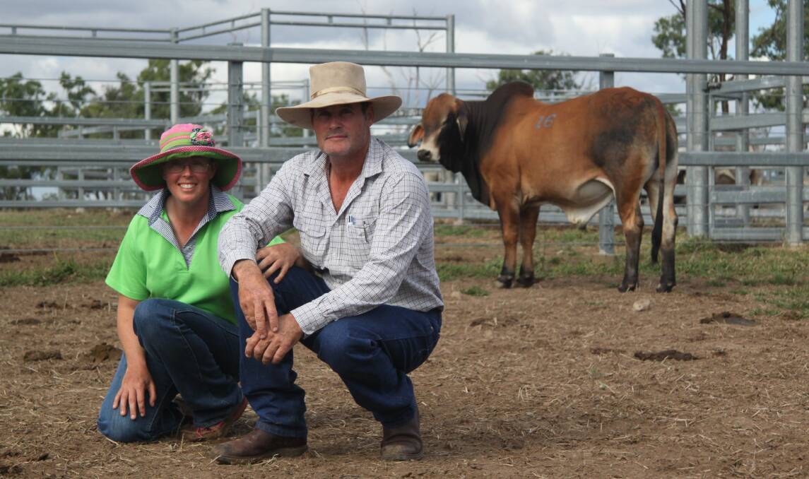Graham and Jacinta Little, Solidwood Park, Taroom, paid $9600, the third highest price of the day.