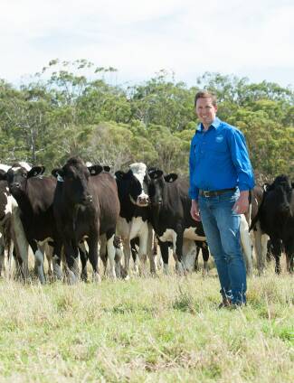 OPTIONS: Tim Jelbart on his family's Leongatha South, Vic, farm where they have used sexed semen to lift the number of heifers produced.