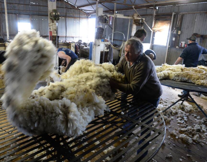 Wool classer, Glenn Wallace, skirting fleeces at "Oakbank", Temora, NSW. 