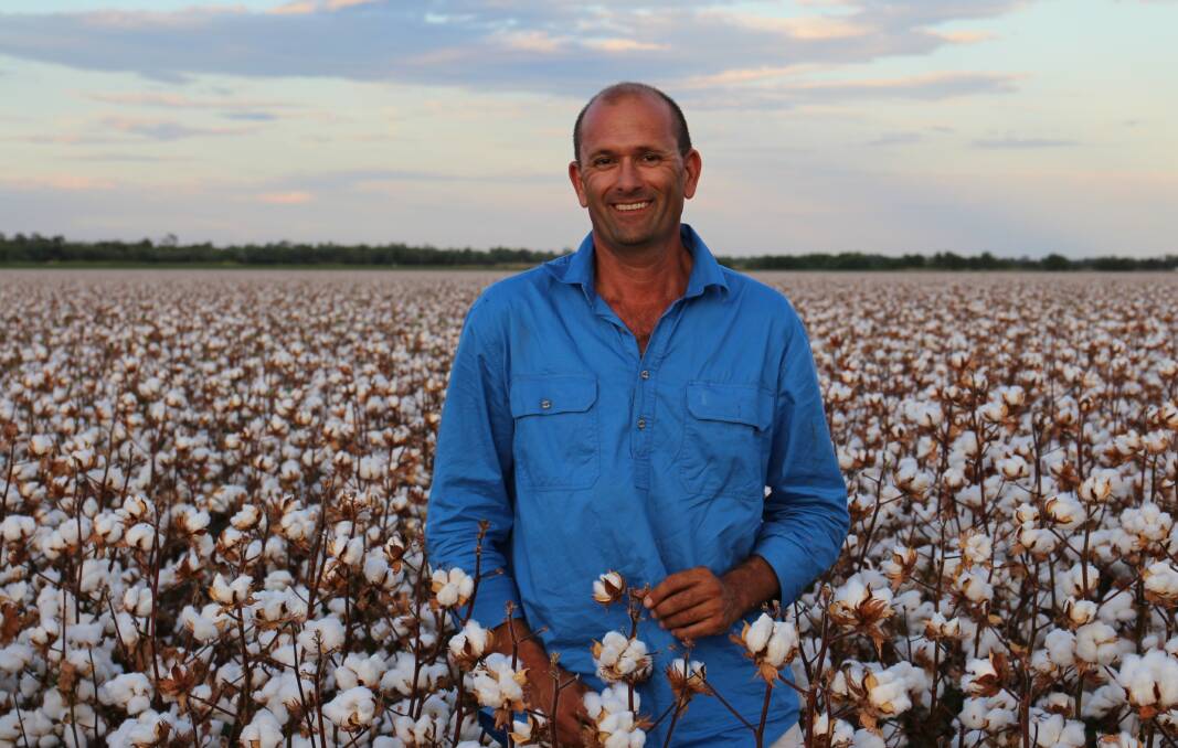 Top crop: Department of Agriculture and Fisheries Queensland principal research scientist Dr Paul Grundy attributes this years record crops to a lucky combination of perfect growing conditions and unorthodox crop management.