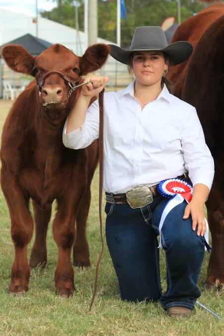 Brooke Iseppi, GK Livestock, Dalby, with the heifer calf of the grand champion Red Angus cow. GK Livestock dominated in the Red Angus judging winning both the grand champion cow and bull ribbons. 