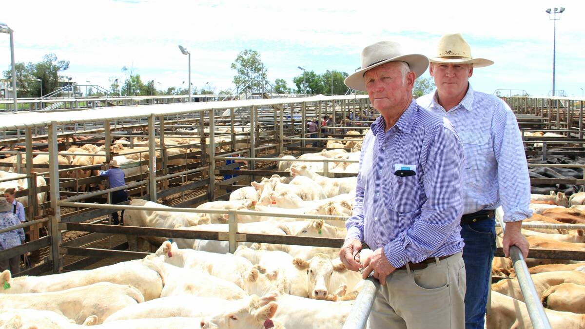 February: Ian and Ivan Price, Moongool, Yuleba, with their line of 390 joined and unjoined heifers. 
