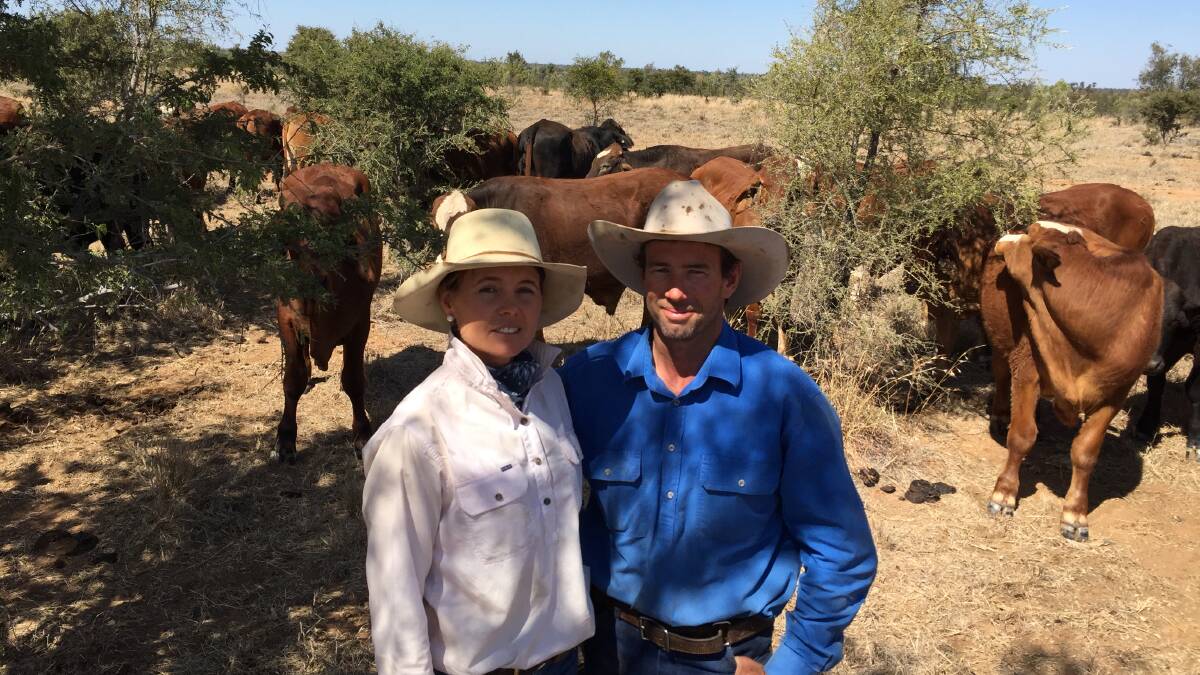 Dave and Bec Comiskey have ticked all the right boxes in their quest for profitable beef production at Melton, Alpha. 