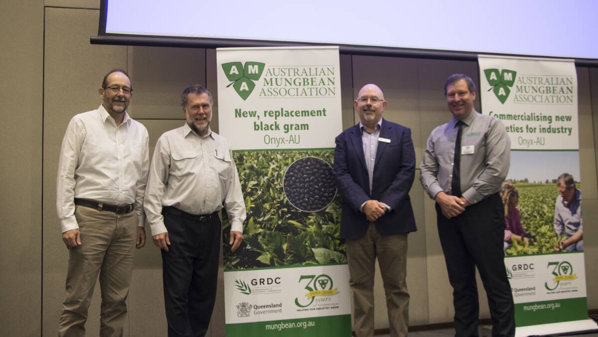 Dr Rex Williams (Director of Crop Improvement, DAF), Mr Garry Fullelove (General Manager of Crop and Food Science, DAF), Mr Chris Murphy (Business Development and Commercialisation manager (north), GRDC) and Mr Mark Schmidt (President, AMA) at the official release of the new black gram variety, Onyx-AU.