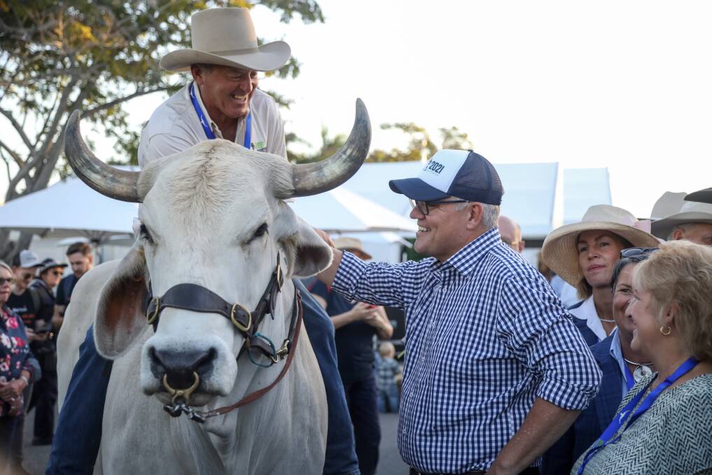 Longreach's John Hawkes and Ollie the Brahman bullock gave Prime Minister Scott Morrison a warm welcome to Beef Australia 2021. Pictures: Lucy Kinbacher