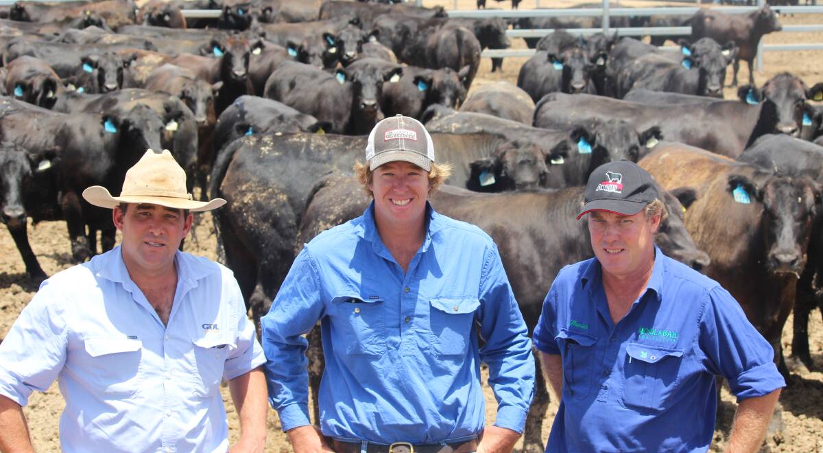 Team effort: Anthony Hyland, GDL St George, feedlot manager Tom Brimblecombe and owner, Hamish McIntyre at  Mooramanna Feedlot. 