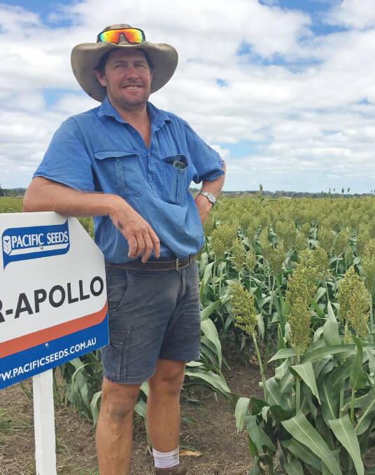 Glenn Davis runs a dairy farm at Lockrose near Gatton and planted six hectares of long maturity variety MR-Apollo in late-November.