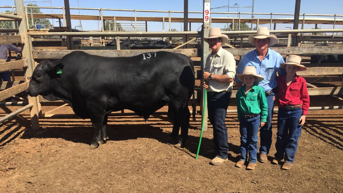 $26,000 Top Price bull: Bruce Woodard, Bonox Brangus, Taroom, with the top price buyer Adrian Forrest, Bellona, Augathella, and his sons Charlie and Jake. 