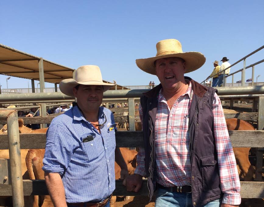 Have a heart: Geoff Maslen, GDL Roma and Roma cattle buyer John Scott are keen to hear from anyone keen to donate cattle for the Heart Health Day auction. 