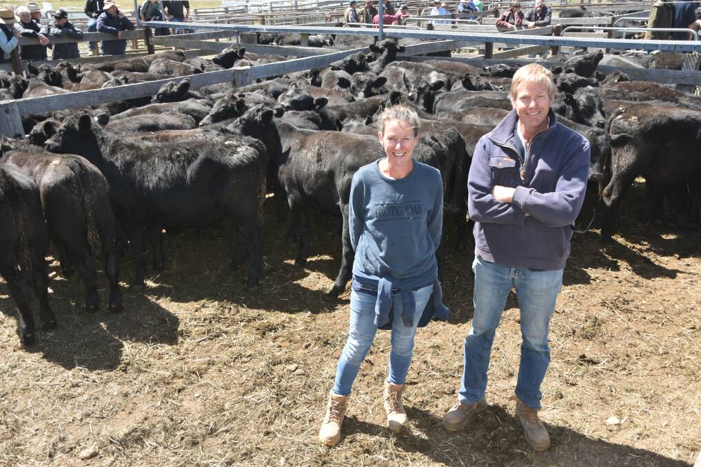 LINE UP: Chris and Helen Nixon, Black Mountain Station, Wulgulmerang, sold 240 steers, 7-8-months-old, at Omeo, Victoria, on Tuesday. 