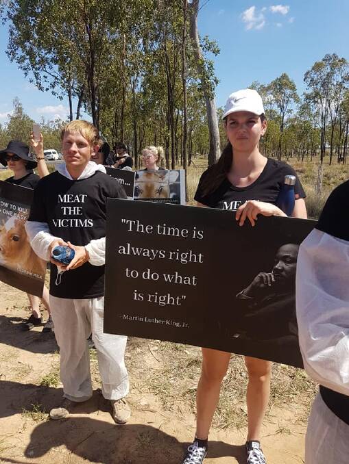 Photo posted to Facebook by the Animal Activist Collective after they entered a southern Queensland feedlot last month. 