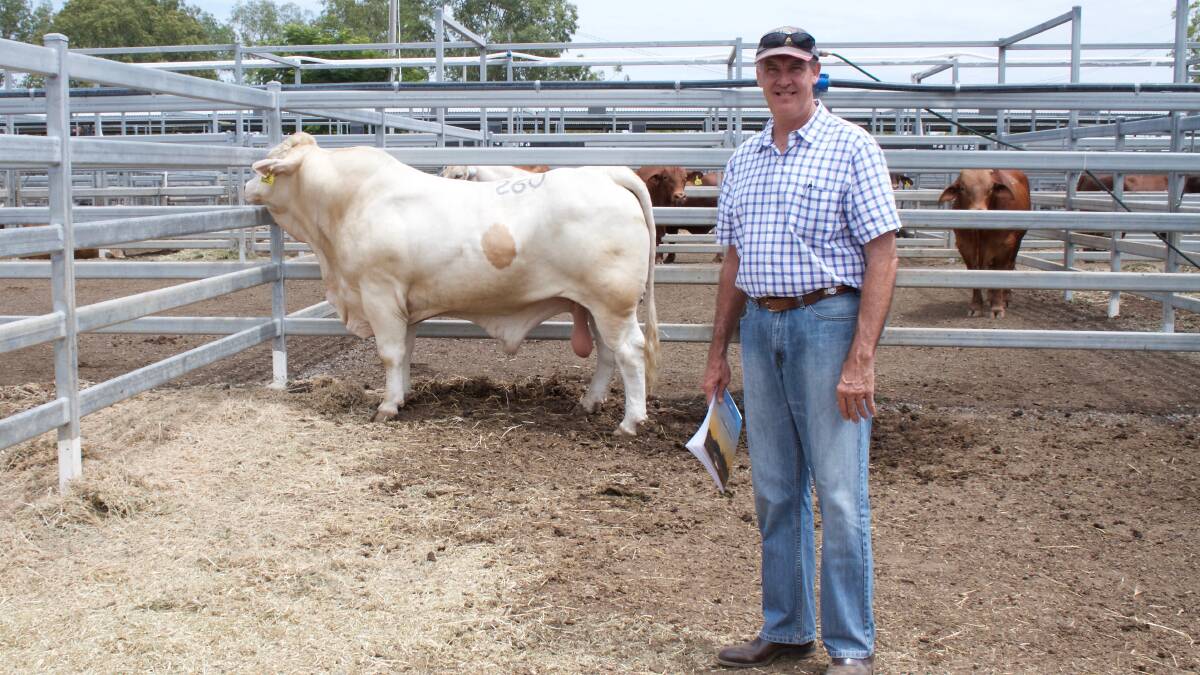 February All Breeds: Top selling Charbray, the $13,000 920kg, Diamond Dove Jackman (H) (27-months) with his new owner, Russell Curran, Spenbar Stud, Condamine. Picture by Kent Ward