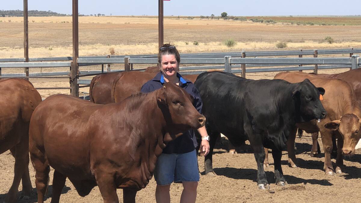 Queensland feedlot owner Sherrill Stivano, Roma, is furious at having details of her feedlot operation revealed on the Aussie Farms website. 