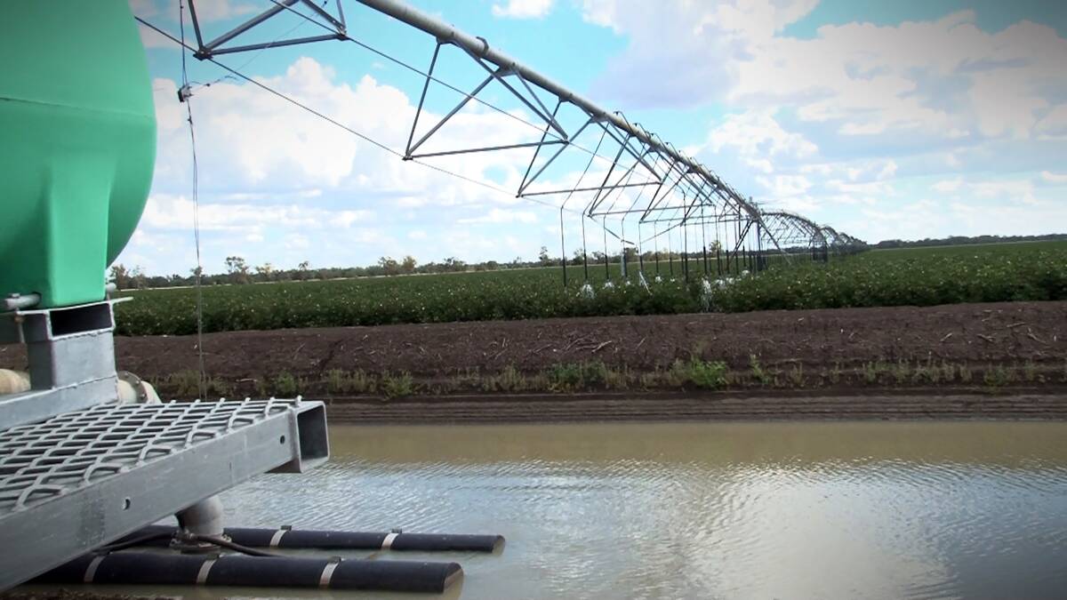 Greens slam ‘greedy irrigators’ as Basin Plan takes a hit