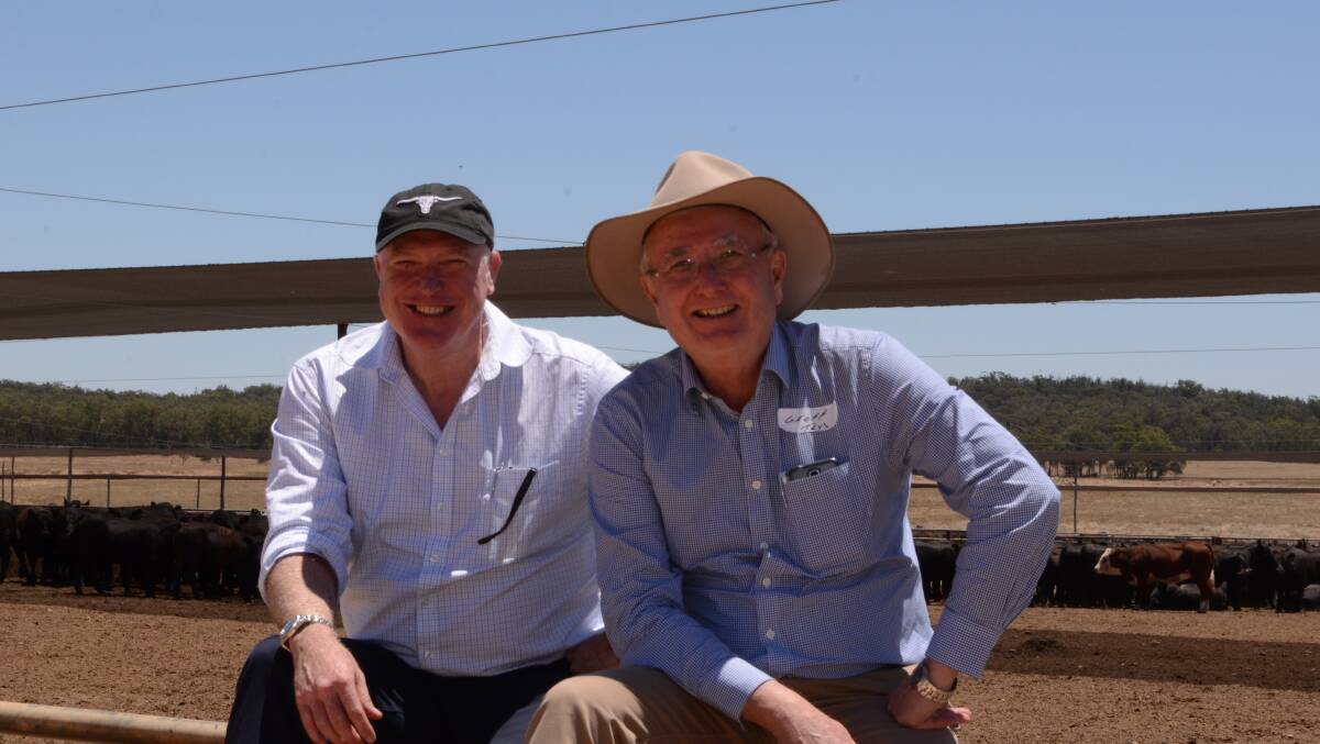 Brad and Geoff Teys announced today (Friday) they would be stepping down from their respective roles as chief executive officer and executive director of livestock.