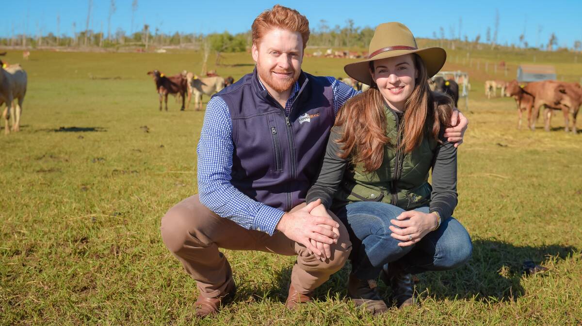 SALE TIME: Mark Davie and Kelly Newtown, Greenlake Station, are hoping to sell one big line of cattle each year. Photo - Kelly Butterworth. 