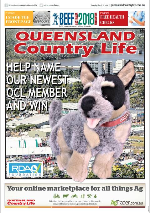Vote now to name our Blue dog