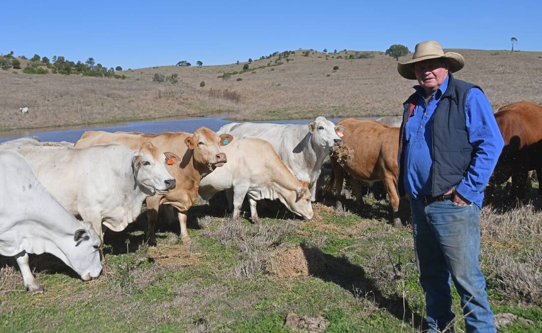 Goomeri producer Danny Hoogstraten believes knowing your land's stocking rate is the key to success. Picture: Billy Jupp 
