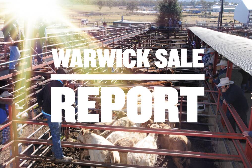 A total of 1248 head were yarded for Tuesday's sale. Picture: File 