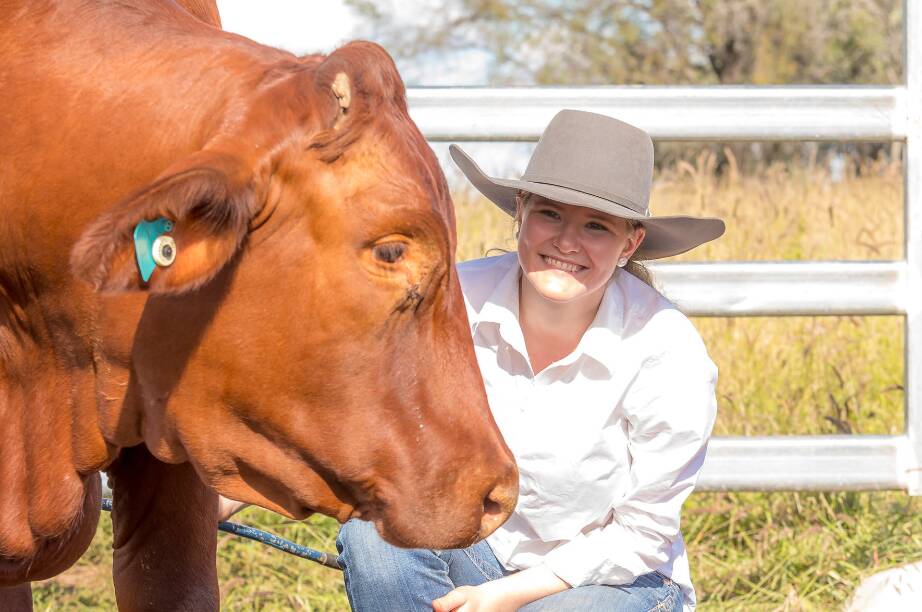 Lucy Brown has thrown herself into her family's Santa Gertrudis stud since attending the breed's youth camp. Picture: Jacque Donaldson Photography